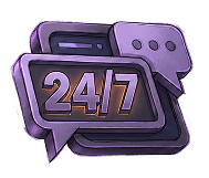24/7 customer support